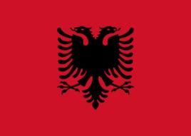 主队