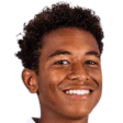 托伦斯