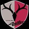 主队